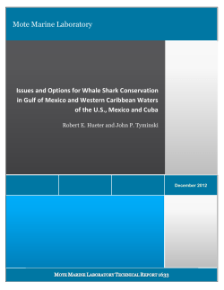Issues and Options for Whale Shark Conservation in Gulf