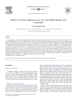 Effects of activity pattern on eye size and orbital aperture