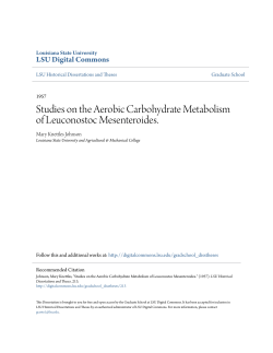 Studies on the Aerobic Carbohydrate Metabolism of Leuconostoc