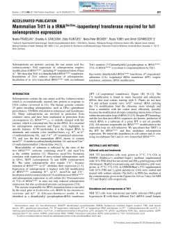 Mammalian Trit1 is a tRNA[Ser]Sec-isopentenyl transferase required