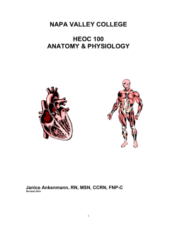 HEOC 100 AP Syllabus Ankenmann rev. 2014 (2).