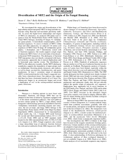 Diversification of NRT2 and the Origin of Its Fungal Homolog