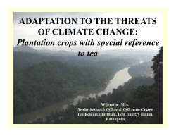 ADAPTATION TO THE THREATS OF CLIMATE CHANGE: Plantation