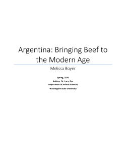 Argentina: Bringing Beef to the Modern Age