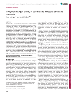 Myoglobin oxygen affinity in aquatic and terrestrial birds and mammals