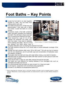 Foot Baths &ndash; Key Points
