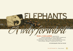 ELEPHANTS A way forward