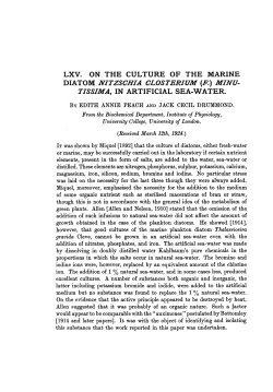 tissima, in artificial sea