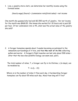 (hours) + (commission rate)(total sales) = net income