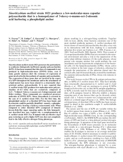 Sinorhizobium meliloti strain 1021 produces a low-molecular