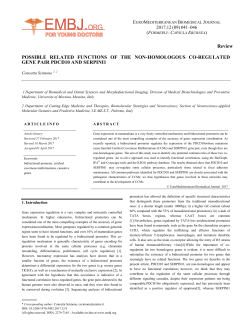 Review POSSIBLE RELATED FUNCTIONS OF THE NON