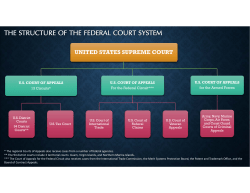 the structure of the federal court system