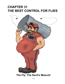 Chapter 31 - The Best Control for Flies