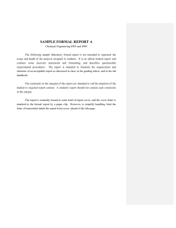 Example Formal Report A