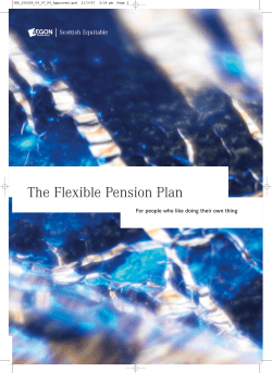 The Flexible Pension Plan