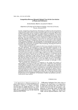 Competition Between Distantly Related Taxa In
