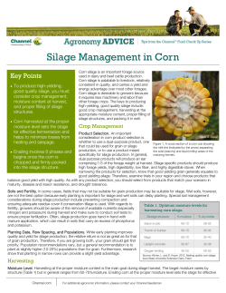 Silage Management in Corn