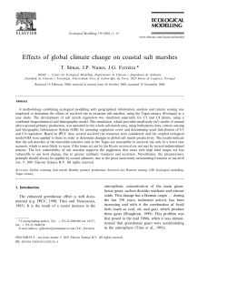 Effects of global climate change on coastal salt marshes