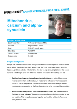 Mitochondria, calcium and alpha-synuclein (PDF