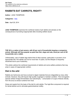 rabbits eat carrots, right?