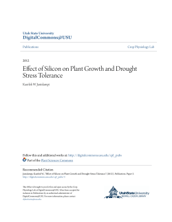 Effect of Silicon on Plant Growth and Drought Stress Tolerance