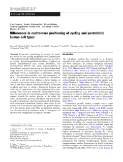 Differences in centromere positioning of cycling and postmitotic
