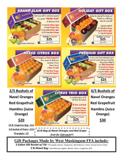 2/5 Bushels of Navel Oranges Red Grapefruit Hamlins (Juice