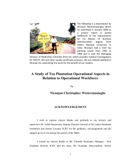A Study of Tea Plantation Operational Aspects in Relation to