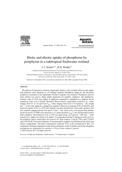 Biotic and abiotic uptake of phosphorus by periphyton in a