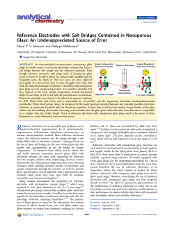 Reference Electrodes with Salt Bridges Contained in Nanoporous