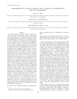 MEDITERRANEAN CAULERPA TAXIFOLIA AND C. MEXICANA