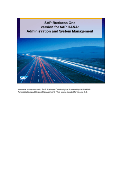 the course for SAP Business One Analytics