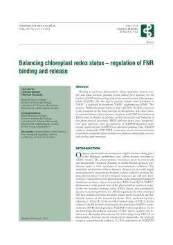 Fulltext: english, pdf