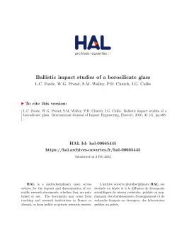 Ballistic impact studies of a borosilicate glass