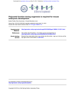 embryonic development Polycomb function during oogenesis is