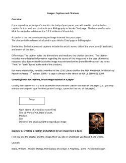 Citation and caption examples revised 2013