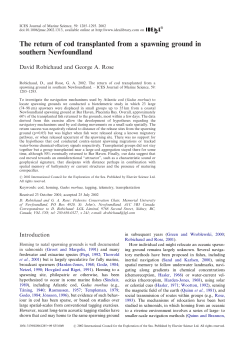 The return of cod transplanted from a spawning ground in southern