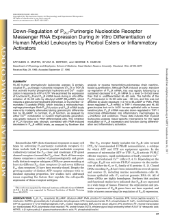 Down-Regulation of P2U -Purinergic Nucleotide Receptor