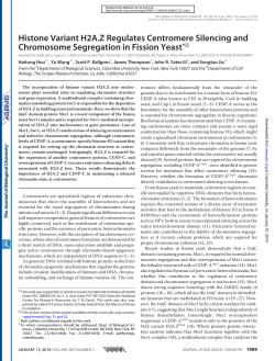 Histone Variant H2A.Z Regulates Centromere Silencing and
