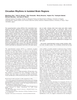 Circadian Rhythms in Isolated Brain Regions