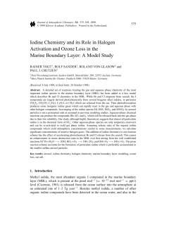 Iodine Chemistry and its Role in Halogen Activation and Ozone Loss