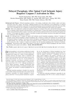 Delayed Paraplegia After Spinal Cord Ischemic Injury