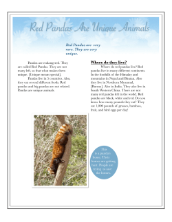 cece pennFA - The Manhattan New School Projects Page