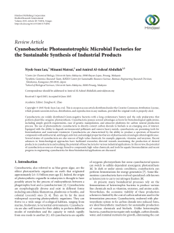 Cyanobacteria: Photoautotrophic Microbial Factories for the