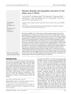 Genetic diversity and population structure of rice stripe virus in China