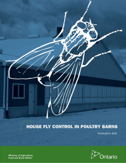 House Fly Control in Poultry Barns