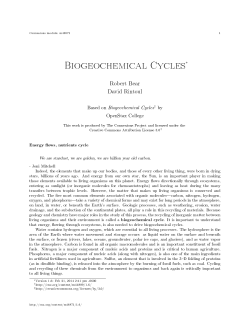 Biogeochemical Cycles