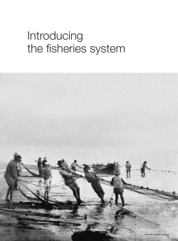 Introducing the fisheries system