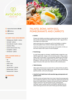 FALAFEL BOWL WITH EGG, POMEGRANATE AND CARROTS