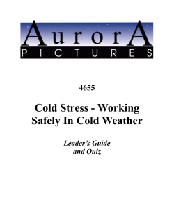 the Leader`s Guide